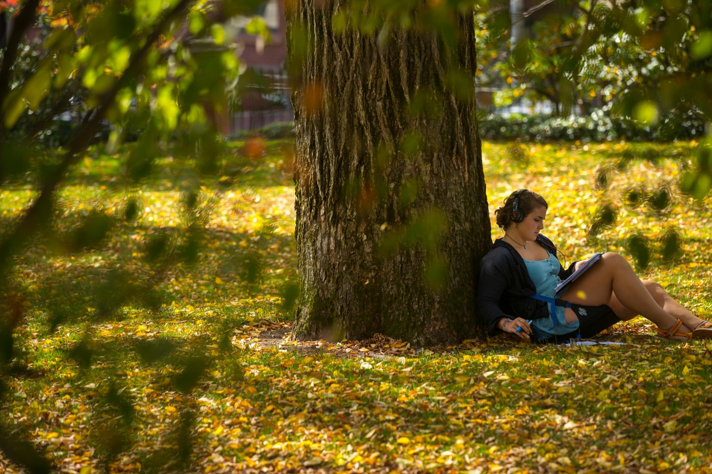 Student sitting on the green with trees nearby