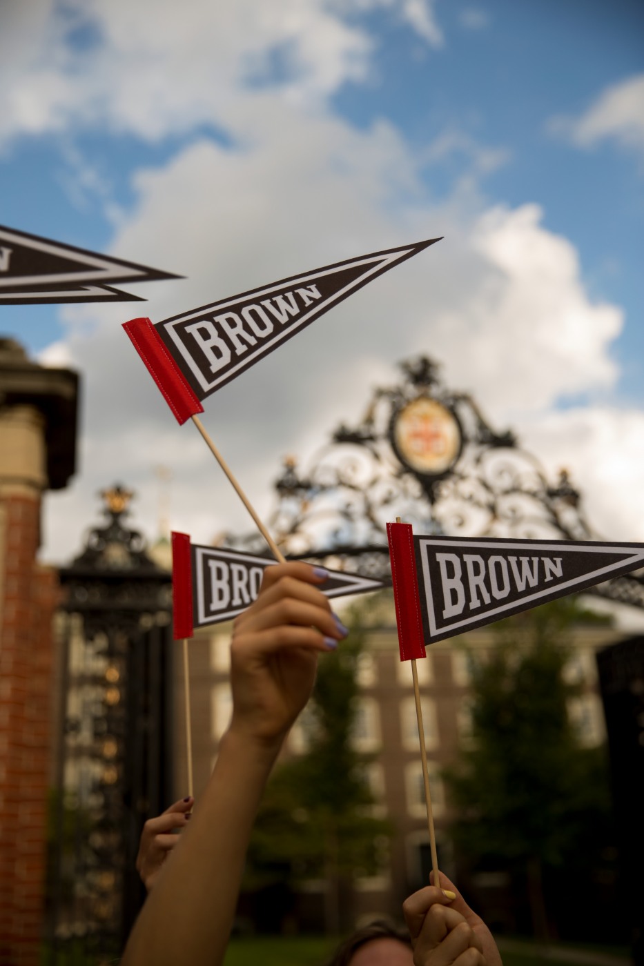Brown flags waving in front of the Gates