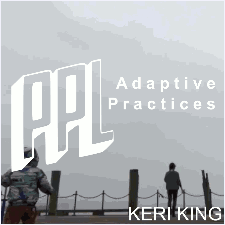PPL Adaptive practices